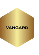 Vangard Strategies Logo
